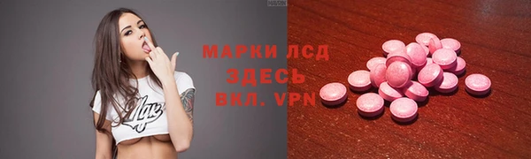 спиды Аркадак
