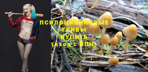 спиды Аркадак