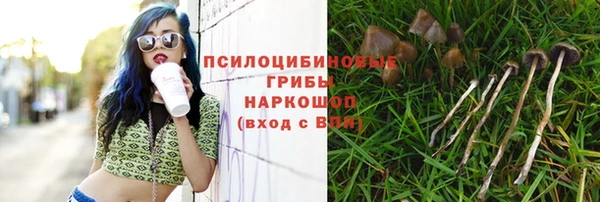 apvp Балахна