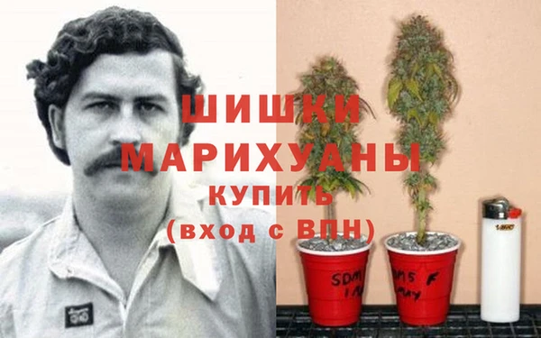 спиды Аркадак